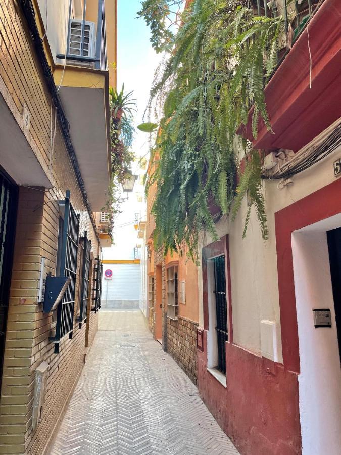 Barrio De Santa Cruz, La Juderia. Zona Inmejorable Apartment Sevilla Bagian luar foto